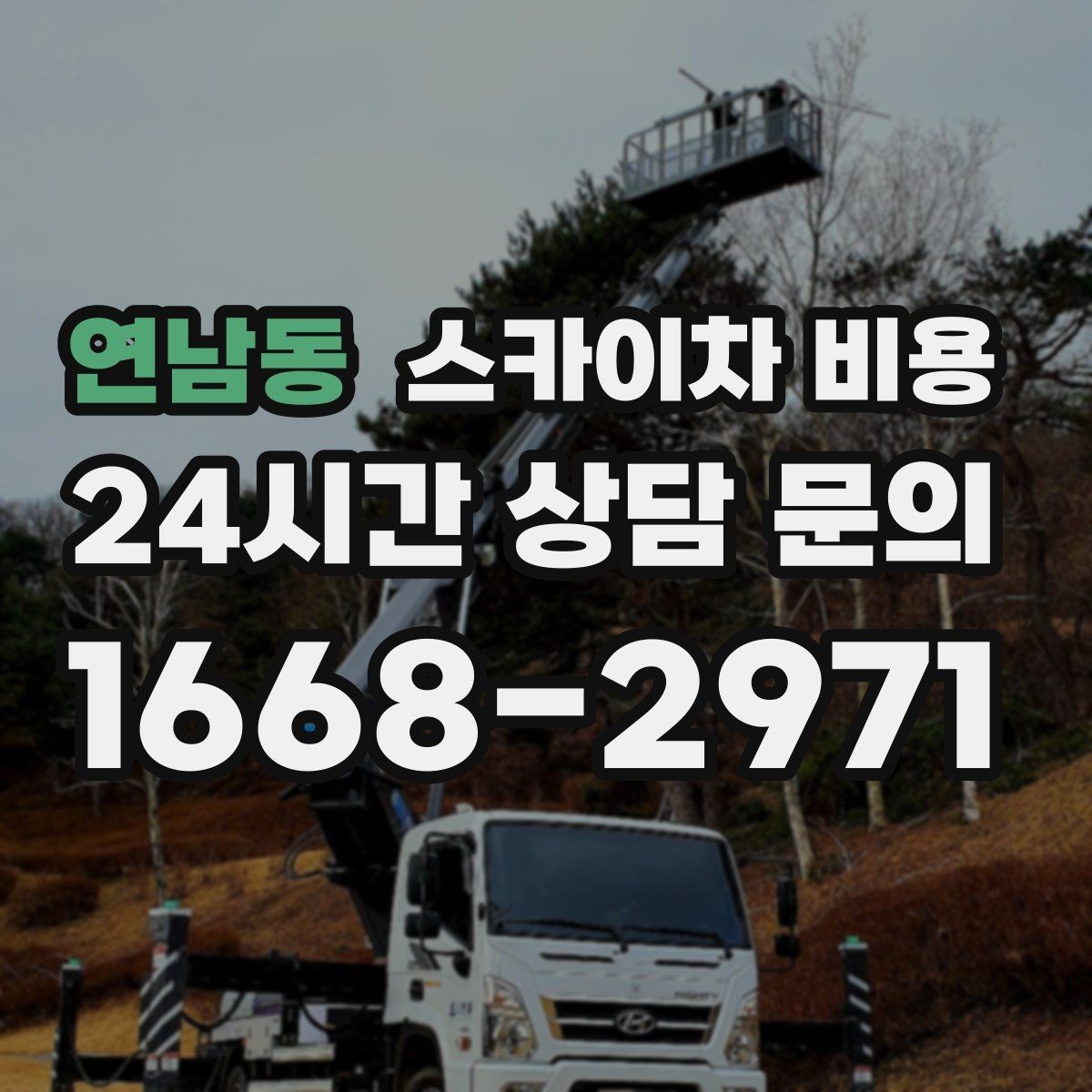 연남동 스카이차 비용 문의할 때 꼭 알려야 할 정보 5가지