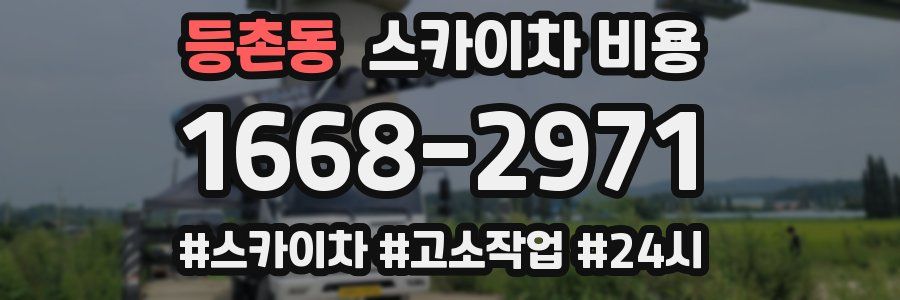 등촌동 스카이차 비용