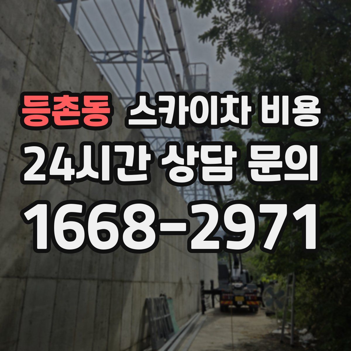 등촌동 스카이차 비용