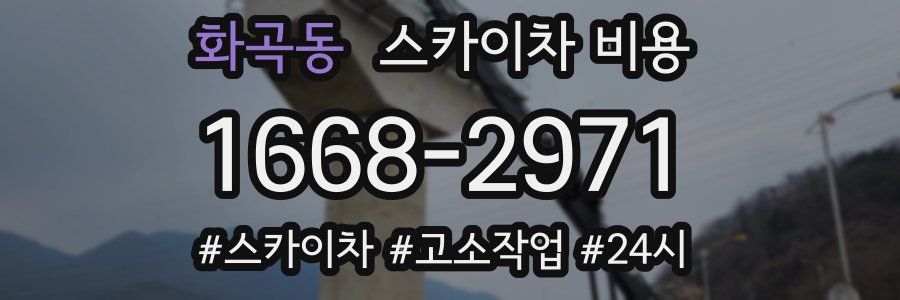 화곡동 스카이차 비용