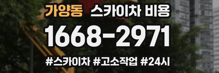 가양동 스카이차 비용