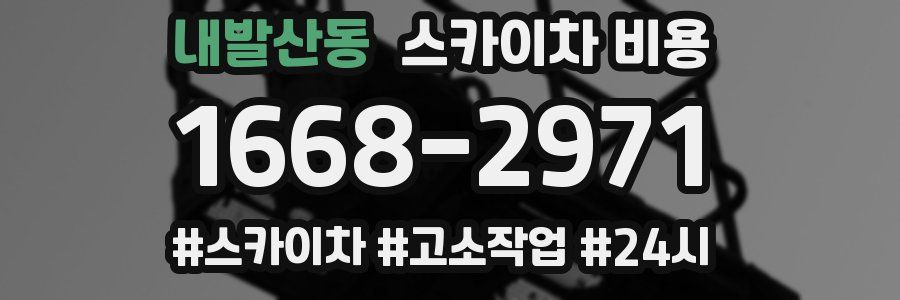 내발산동 스카이차 비용