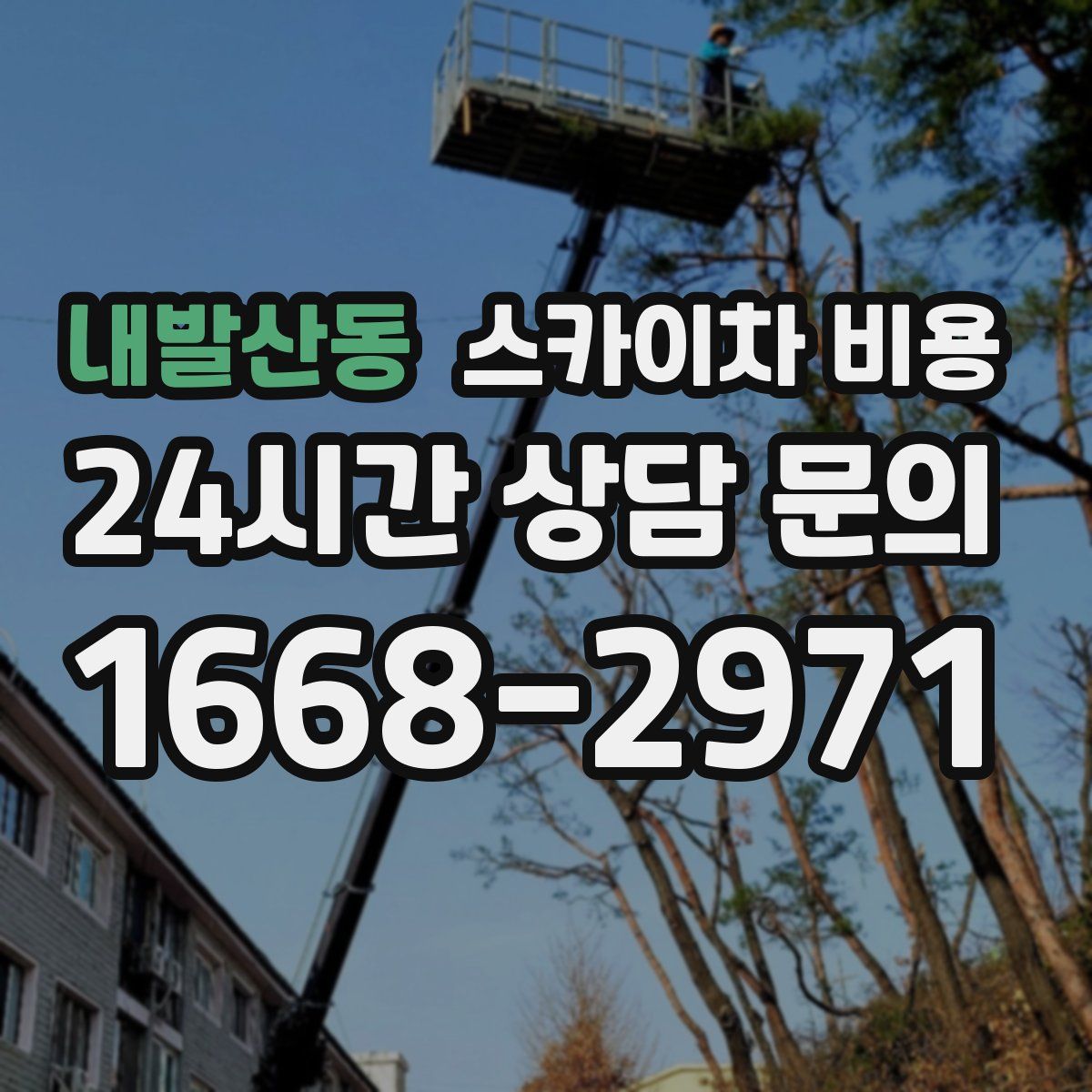 내발산동 스카이차 비용