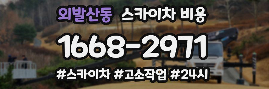 외발산동 스카이차 비용