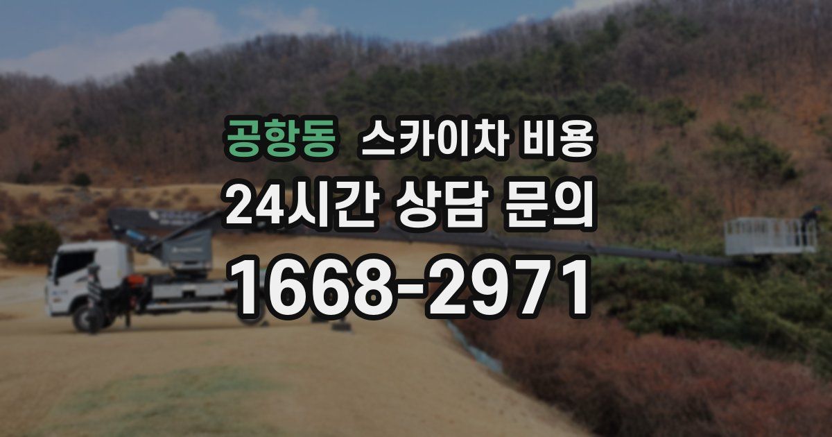 공항동 스카이차 비용