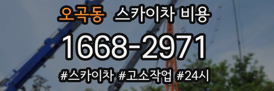 오곡동 스카이차 비용