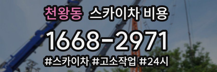 천왕동 스카이차 비용