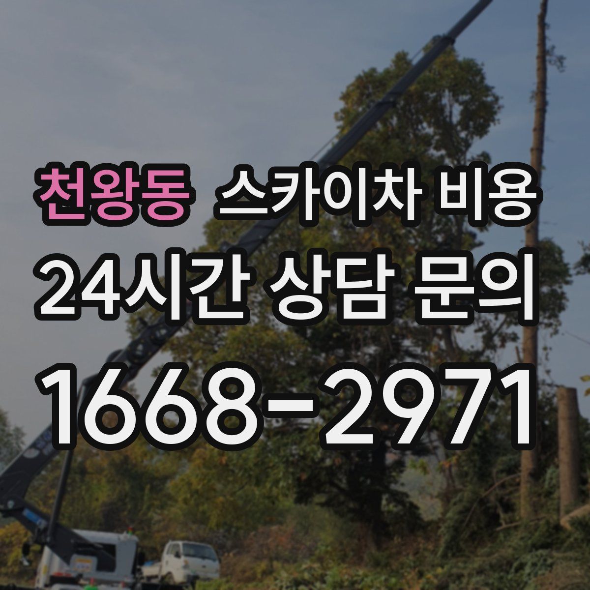 천왕동 스카이차 비용