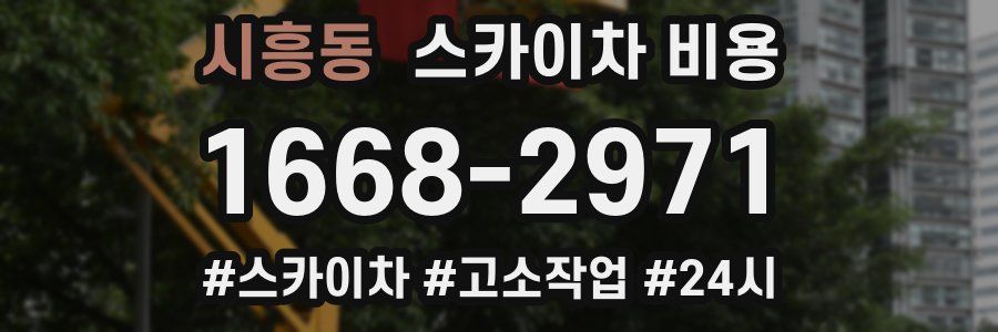 시흥동 스카이차 비용