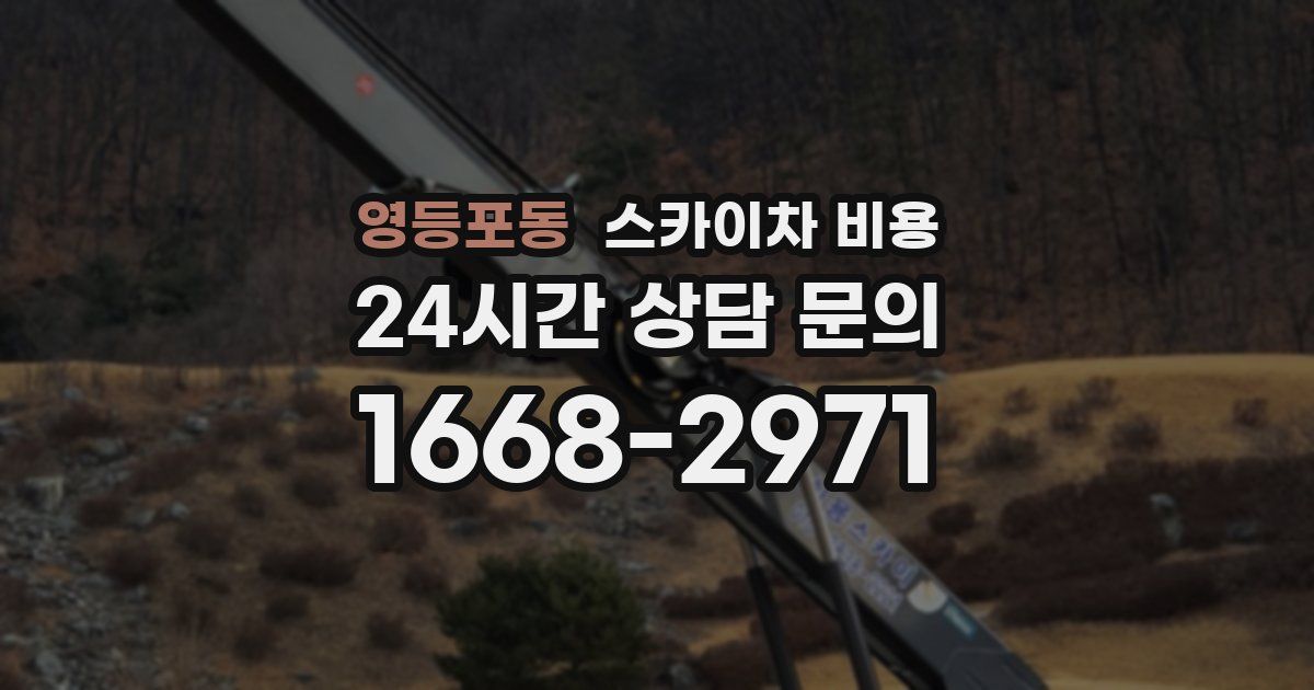 영등포동 스카이차 비용