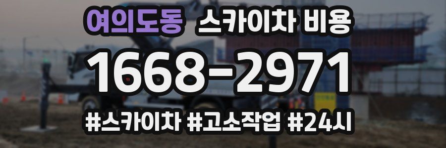 여의도동 스카이차 비용