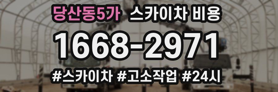 당산동5가 스카이차 비용