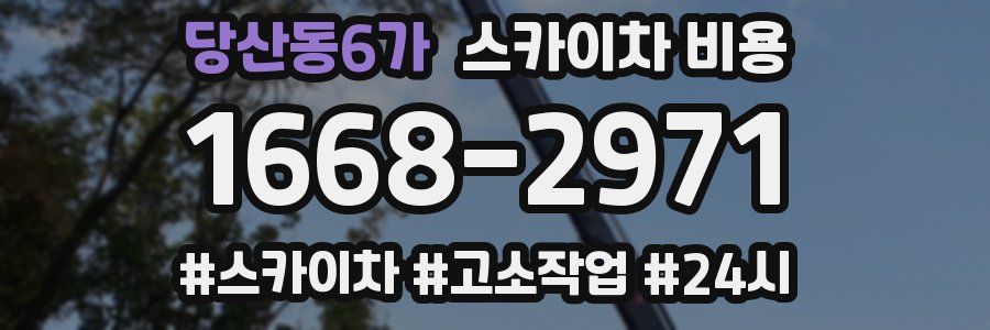 당산동6가 스카이차 비용