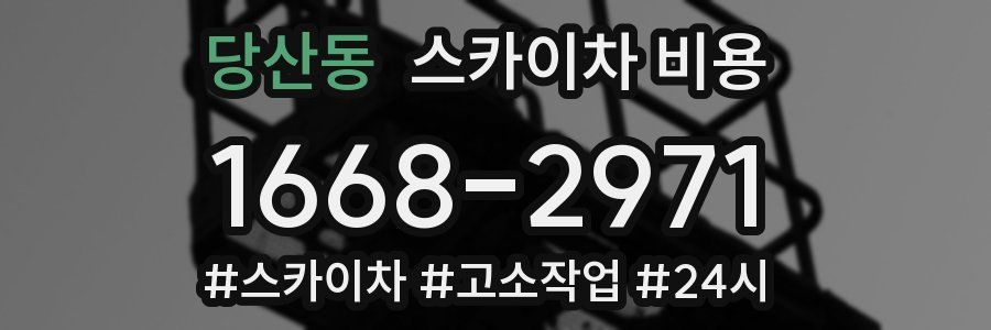 당산동 스카이차 비용