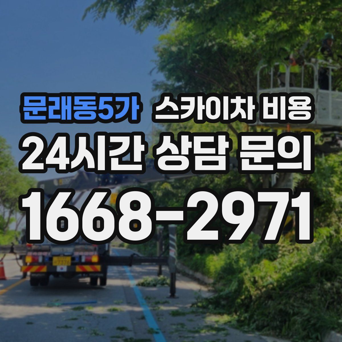 문래동5가 스카이차 비용