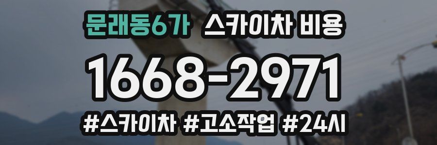 문래동6가 스카이차 비용