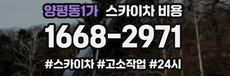 양평동1가 스카이차 비용