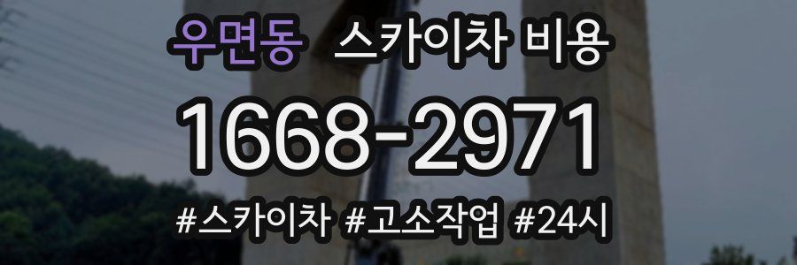 우면동 스카이차 비용