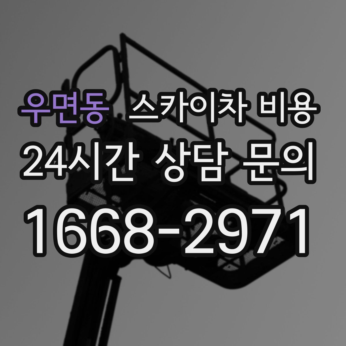 우면동 스카이차 비용