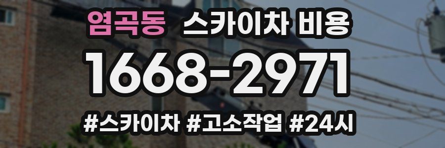 염곡동 스카이차 비용