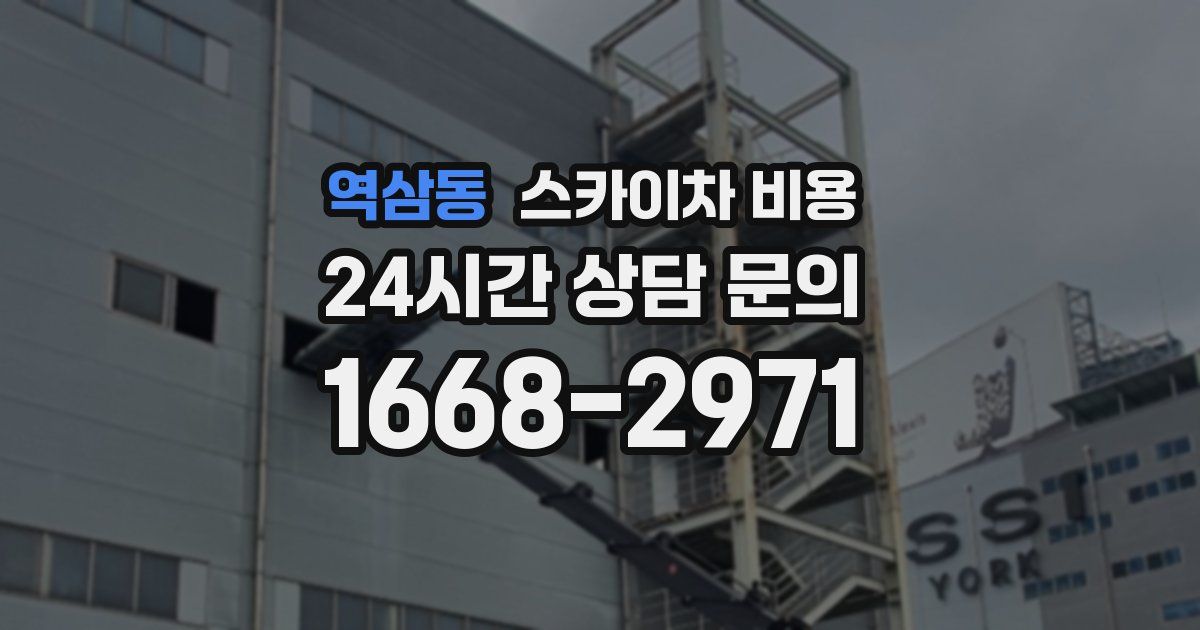 역삼동 스카이차 비용