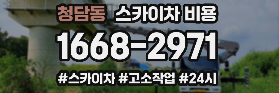 청담동 스카이차 비용