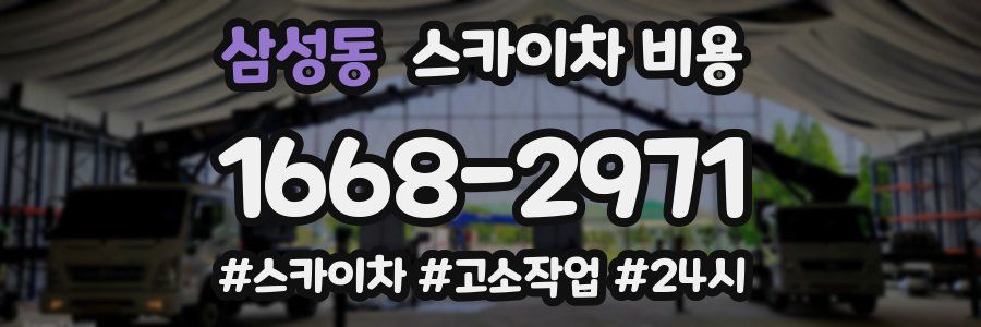 삼성동 스카이차 비용