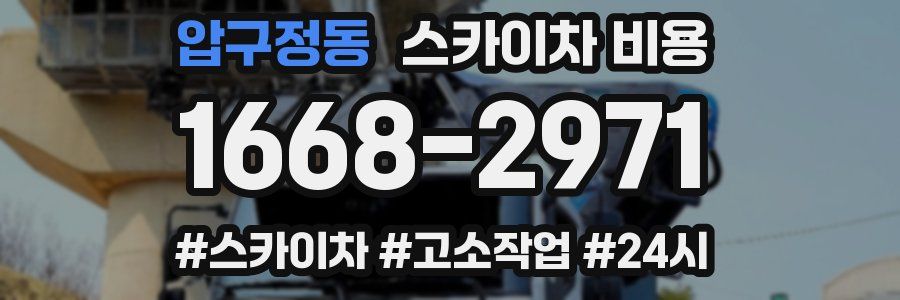 압구정동 스카이차 비용