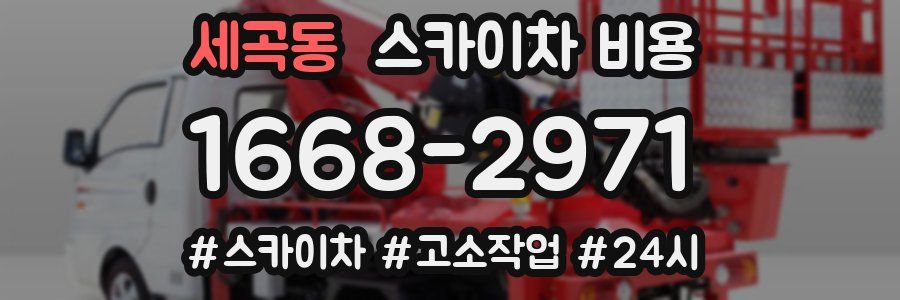 세곡동 스카이차 비용