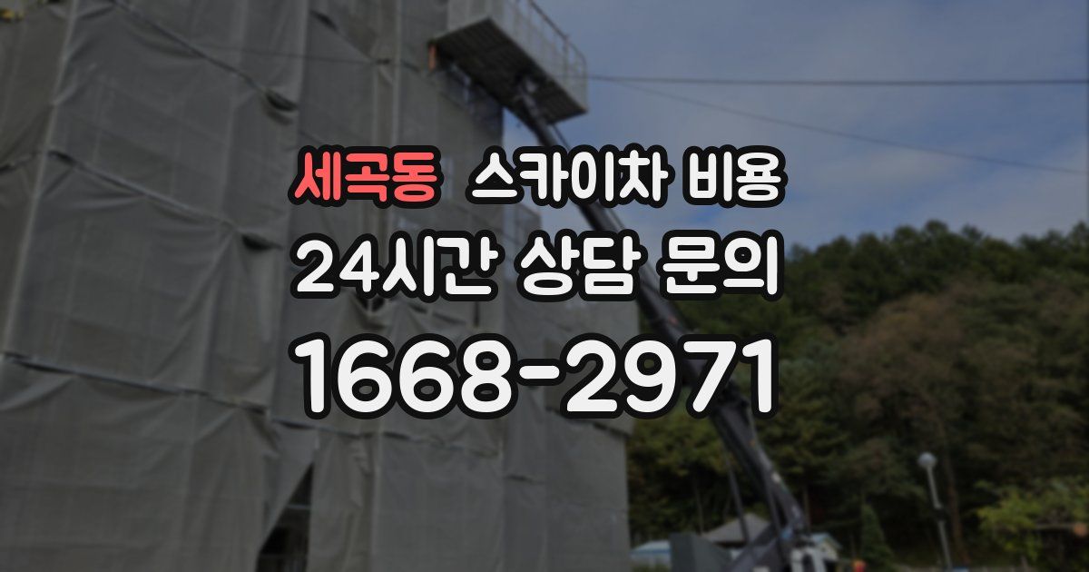 세곡동 스카이차 비용