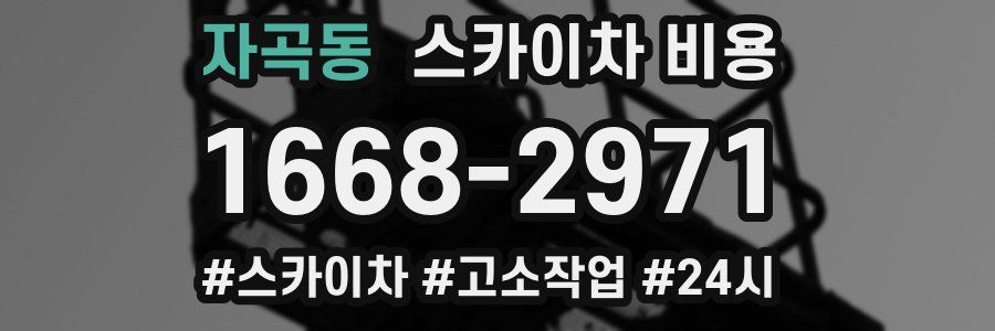 자곡동 스카이차 비용