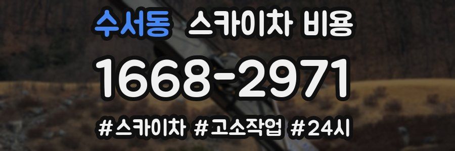 수서동 스카이차 비용