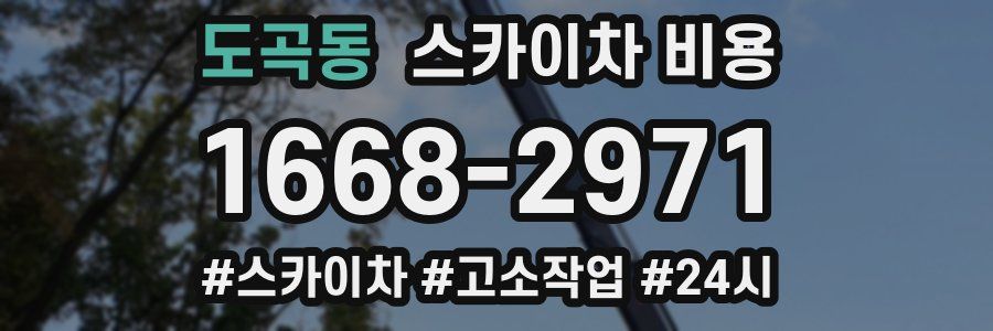 도곡동 스카이차 비용