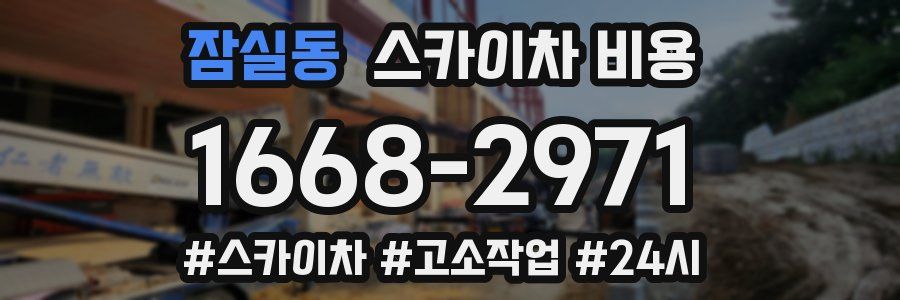 잠실동 스카이차 비용