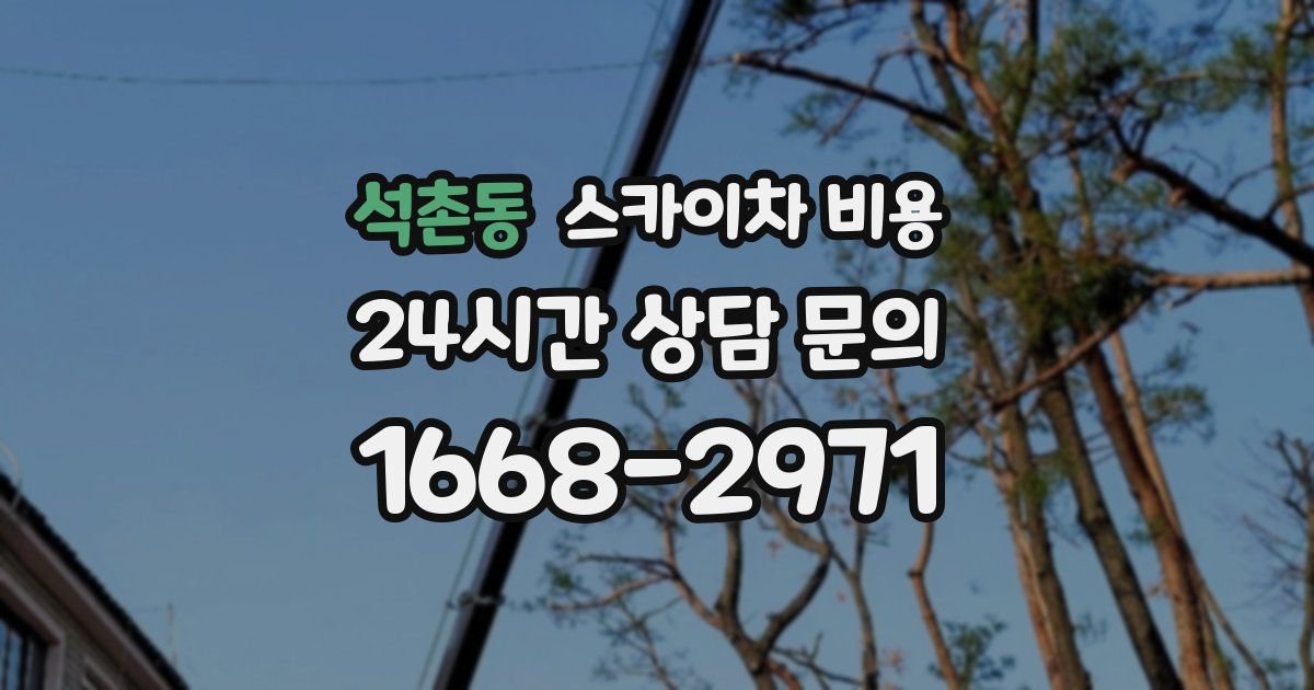 석촌동 스카이차 비용