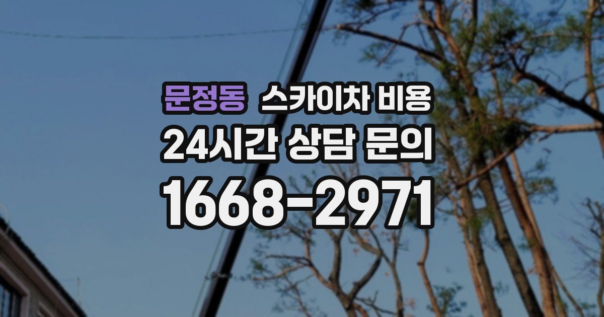 문정동 스카이차 비용