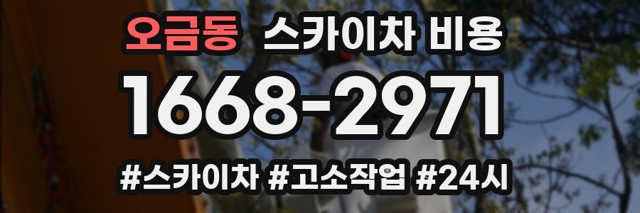 오금동 스카이차 비용