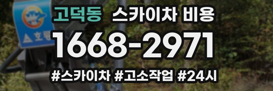 고덕동 스카이차 비용
