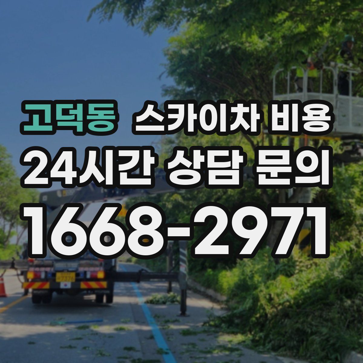 고덕동 스카이차 비용