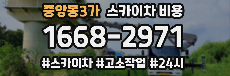 중앙동3가 스카이차 비용