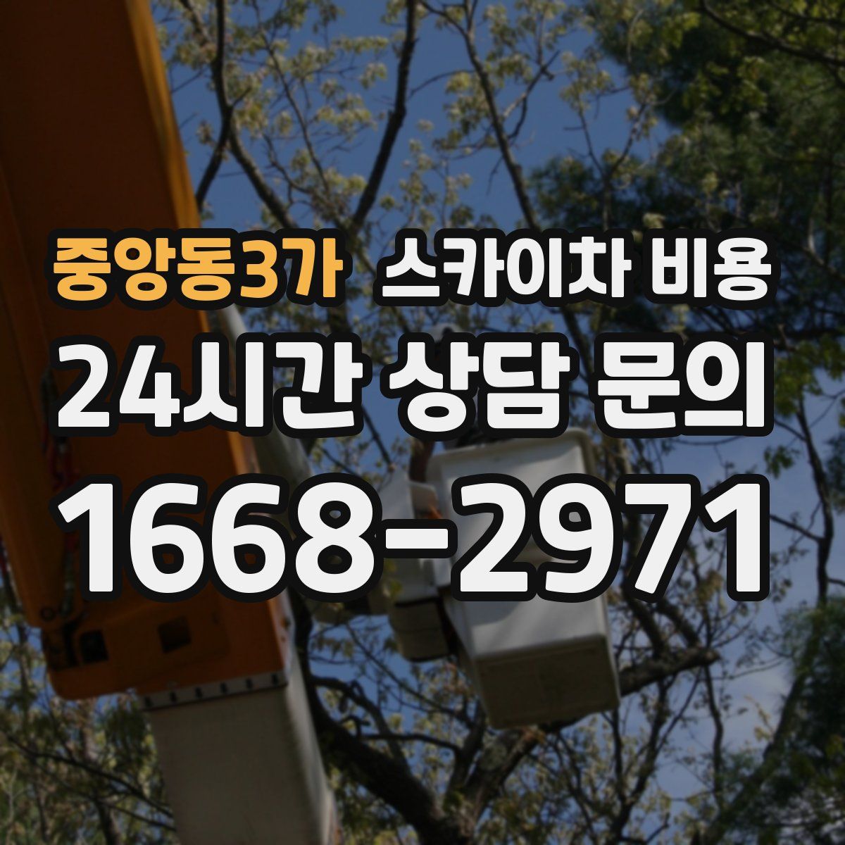 중앙동3가 스카이차 비용