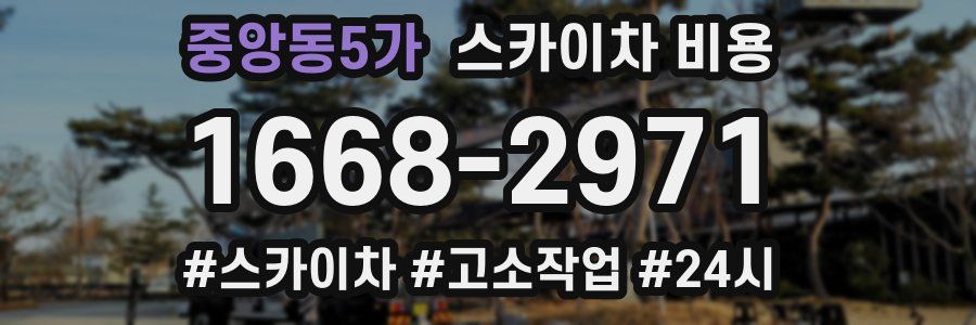 중앙동5가 스카이차 비용