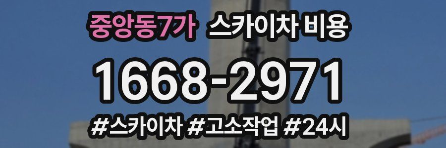 중앙동7가 스카이차 비용