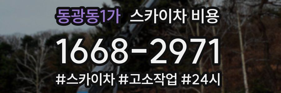 동광동1가 스카이차 비용