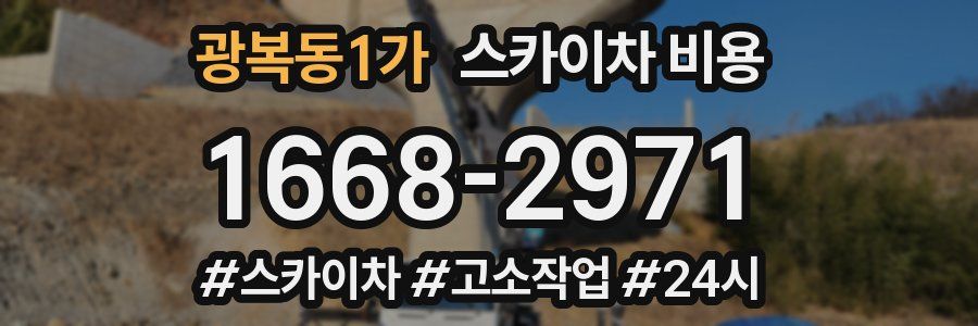 광복동1가 스카이차 비용