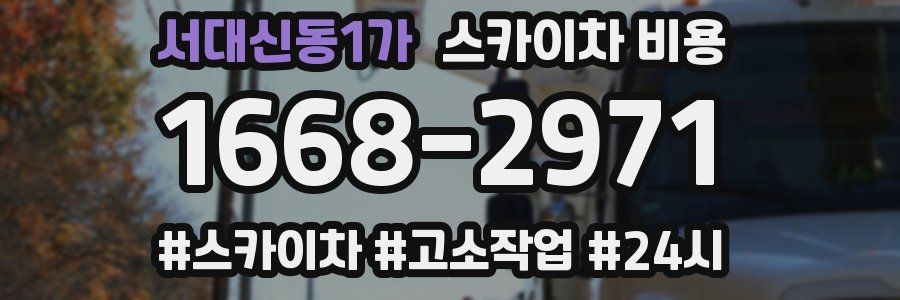 서대신동1가 스카이차 비용