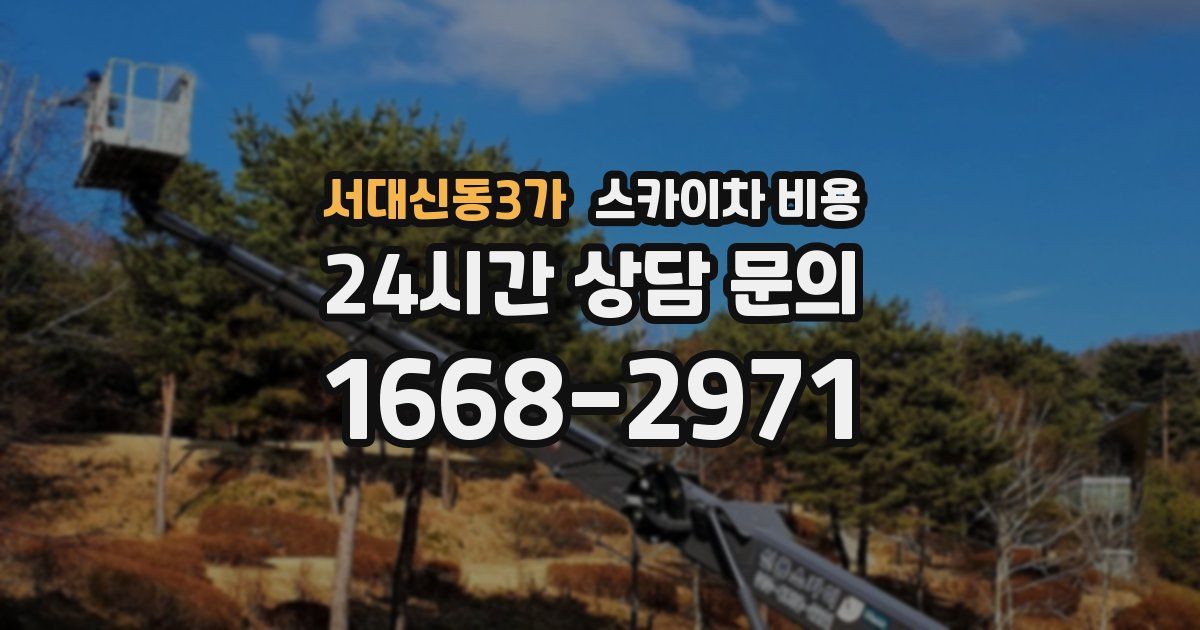 서대신동3가 스카이차 비용