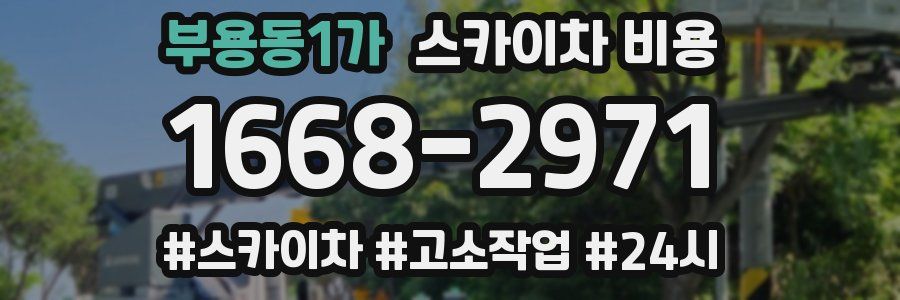 부용동1가 스카이차 비용