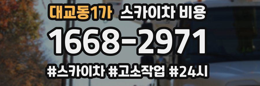 대교동1가 스카이차 비용