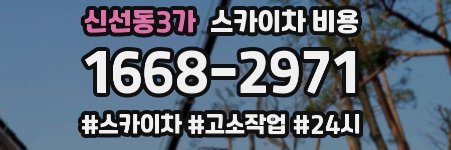 신선동3가 스카이차 비용